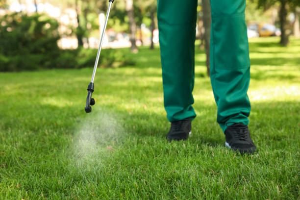 Pest Prevention Services in Lake Barrington, IL