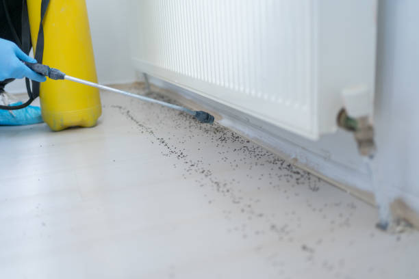 Best Emergency Pest Control  in Lake Barrington, IL